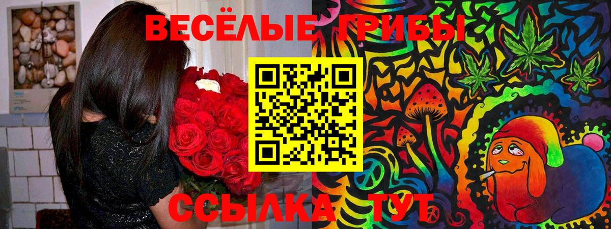 Псилоцибиновые грибы прущие грибы Ишим